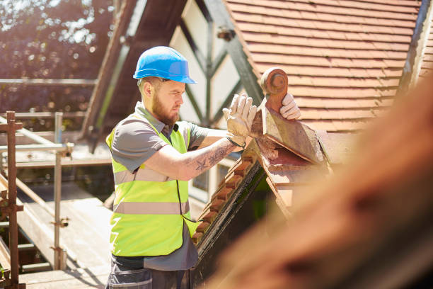 Best Storm Damage Roof Repair  in Haleiwa, HI